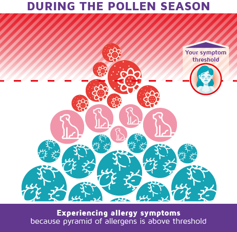Die Allergie-Pyramide: Wie Sie unter Ihrer Symptomschwelle bleiben