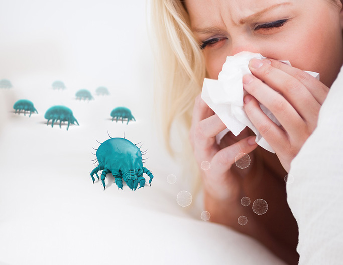 Symptômes et conséquences de l'allergie aux acariens