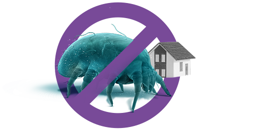 dust-mite-treatment